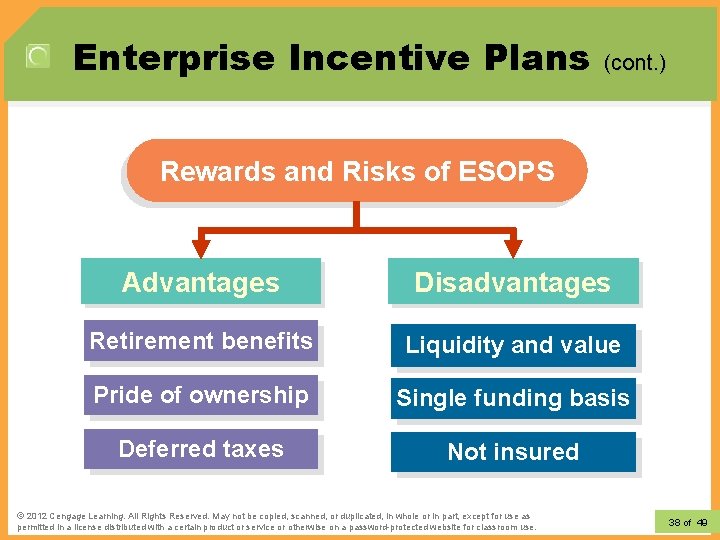 Enterprise Incentive Plans (cont. ) Rewards and Risks of ESOPS Advantages Disadvantages Retirement benefits Enterprise Incentive Plans (cont. ) Rewards and Risks of ESOPS Advantages Disadvantages Retirement benefits