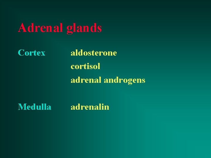 Adrenal glands Cortex aldosterone cortisol adrenal androgens Medulla adrenalin 