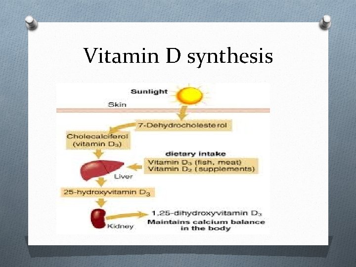 Vitamin D synthesis 