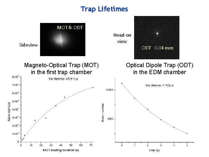 Trap Lifetimes MOT & ODT Sideview Magneto-Optical Trap (MOT) in the first trap chamber