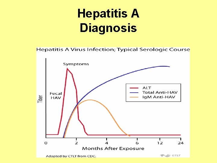 Hepatitis A Diagnosis 