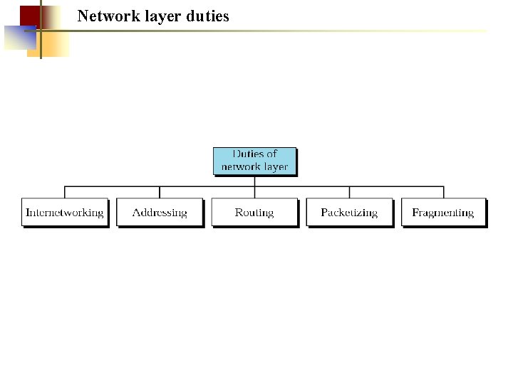 Network layer duties 