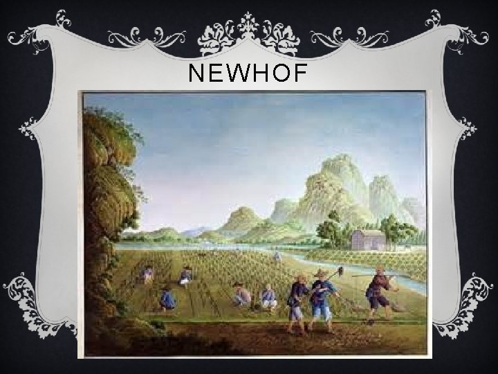 NEWHOF 