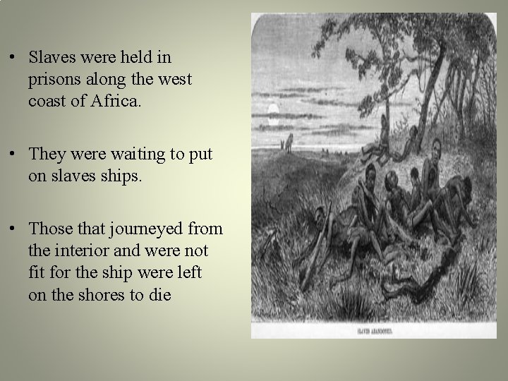 • Slaves were held in prisons along the west coast of Africa. • • Slaves were held in prisons along the west coast of Africa. •