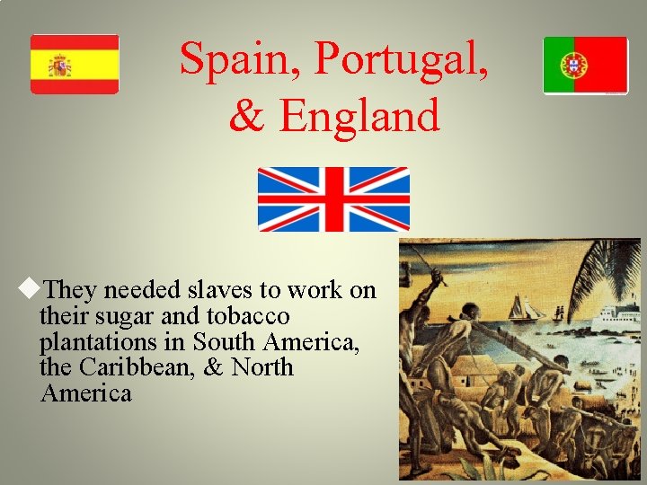 Spain, Portugal, & England They needed slaves to work on their sugar and tobacco Spain, Portugal, & England They needed slaves to work on their sugar and tobacco