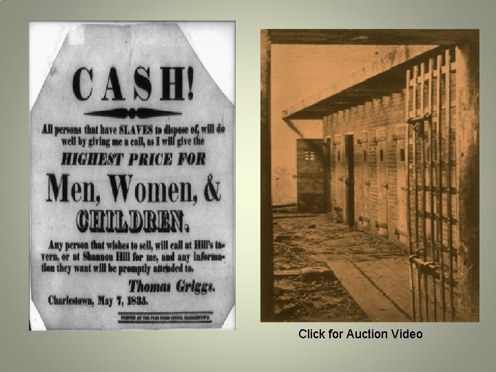 Click for Auction Video Click for Auction Video