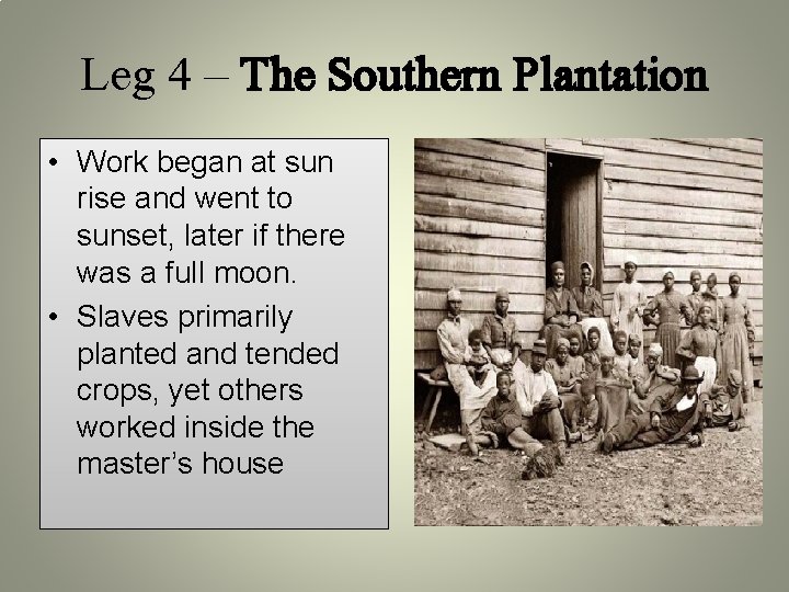 Leg 4 – The Southern Plantation • Work began at sun rise and went Leg 4 – The Southern Plantation • Work began at sun rise and went