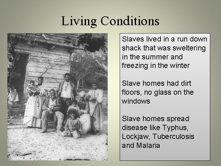 Living Conditions Slaves lived in a run down shack that was sweltering in the Living Conditions Slaves lived in a run down shack that was sweltering in the