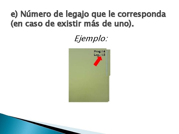 e) Número de legajo que le corresponda (en caso de existir más de uno).