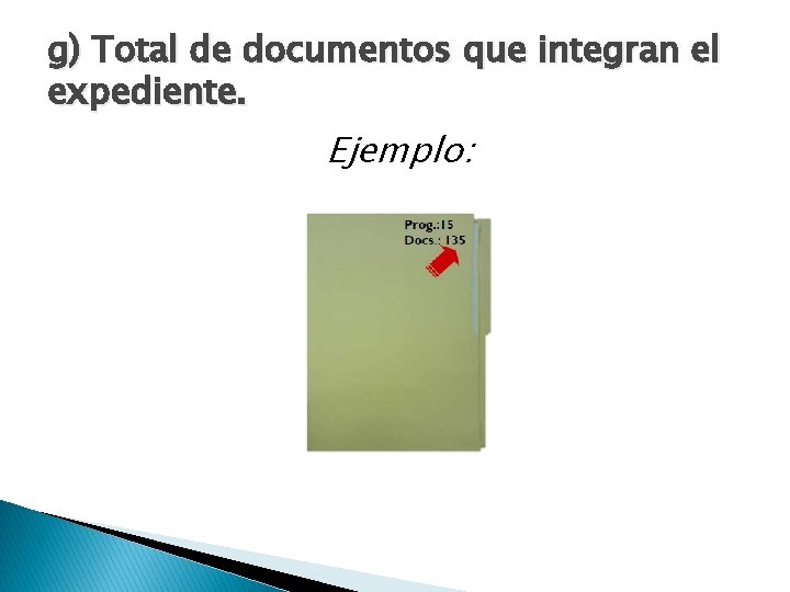 g) Total de documentos que integran el expediente. Ejemplo: 