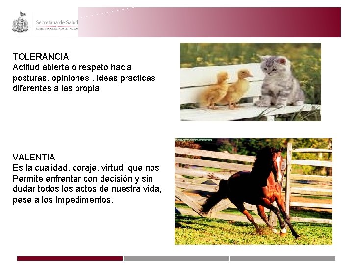 TOLERANCIA Actitud abierta o respeto hacia posturas, opiniones , ideas practicas diferentes a las