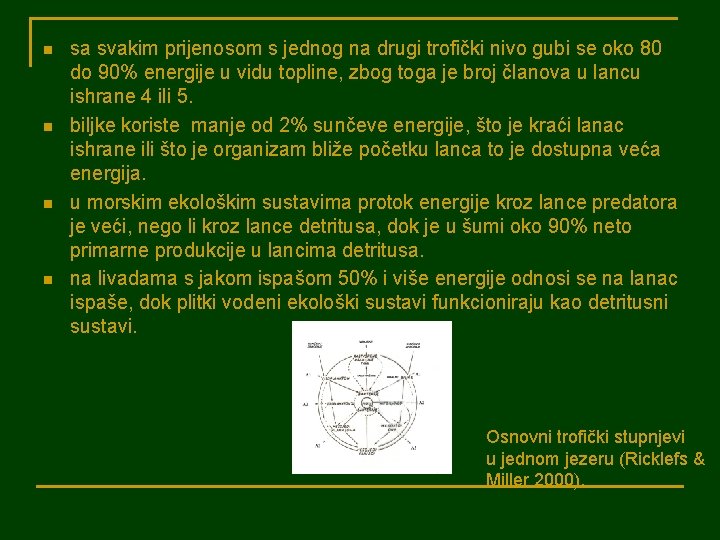 n n sa svakim prijenosom s jednog na drugi trofički nivo gubi se oko