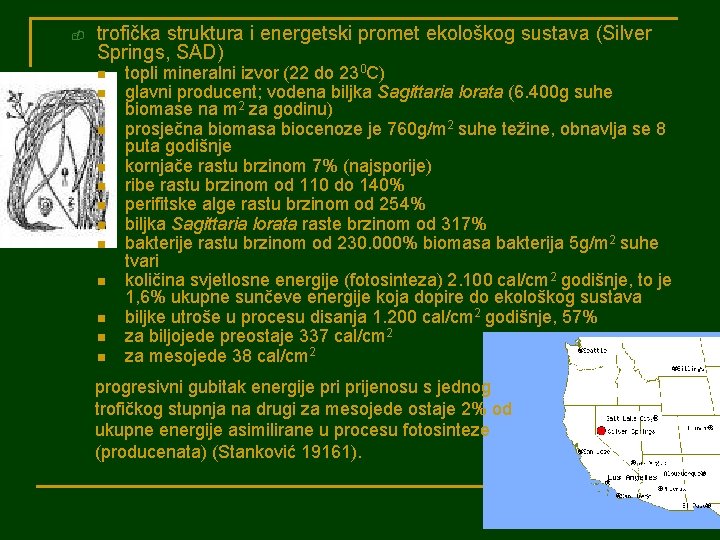 - trofička struktura i energetski promet ekološkog sustava (Silver Springs, SAD) n n n