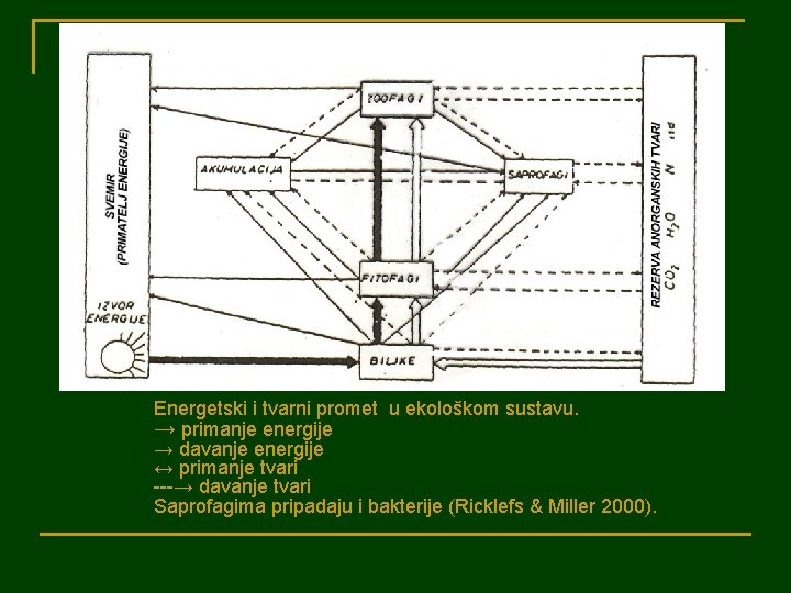 Energetski i tvarni promet u ekološkom sustavu. → primanje energije → davanje energije ↔