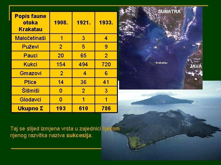 Popis faune otoka Krakatau 1908. 1921. 1933. Maločetinaši 1 3 4 Puževi 2 5