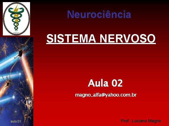 Neurociência SISTEMA NERVOSO Aula 02 magno_alfa@yahoo. com. br aula 01 Prof. : Luciano Magno