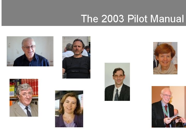The 2003 Pilot Manual 