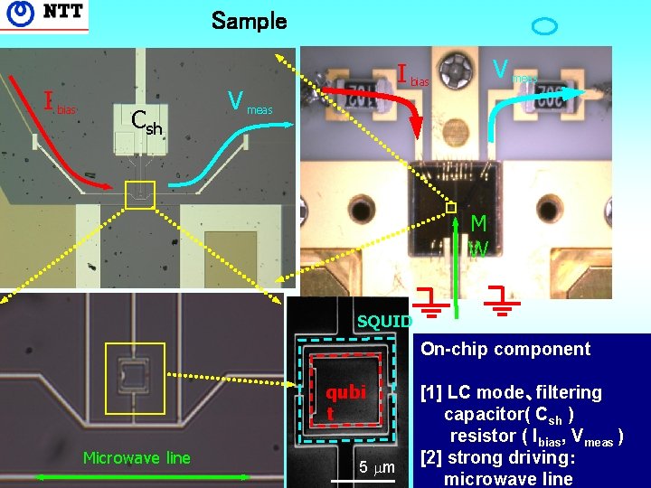 Sample I bias Csh V meas I bias V meas M W SQUID qubi