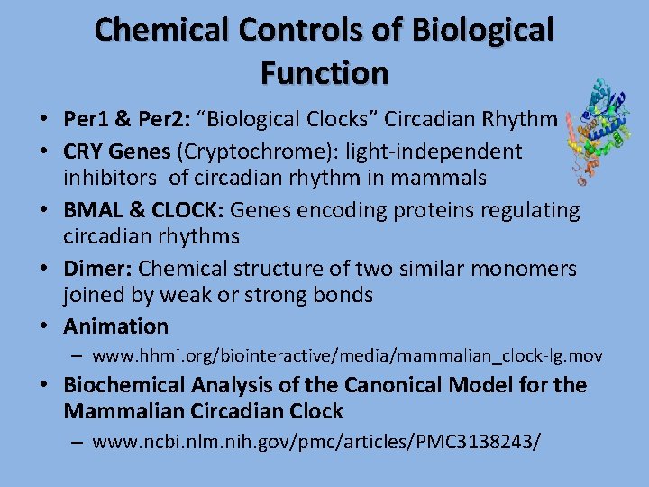 Chemical Controls of Biological Function • Per 1 & Per 2: “Biological Clocks” Circadian