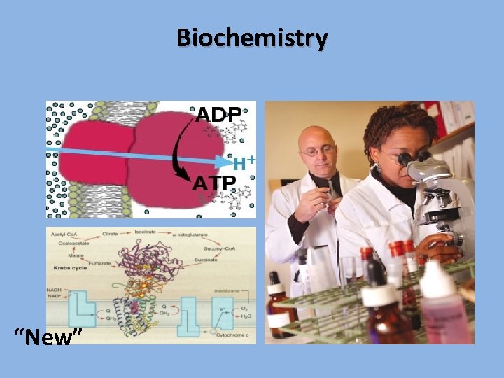 Biochemistry “New” 