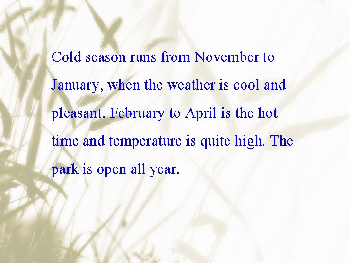 Cold season runs from November to January, when the weather is cool and pleasant.