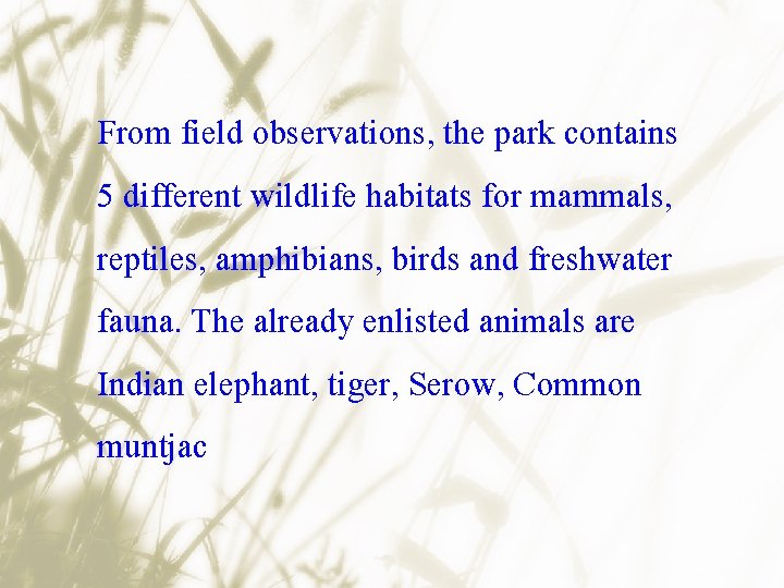 From field observations, the park contains 5 different wildlife habitats for mammals, reptiles, amphibians,