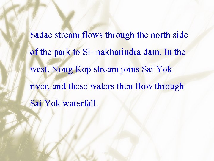 Sadae stream flows through the north side of the park to Si- nakharindra dam.