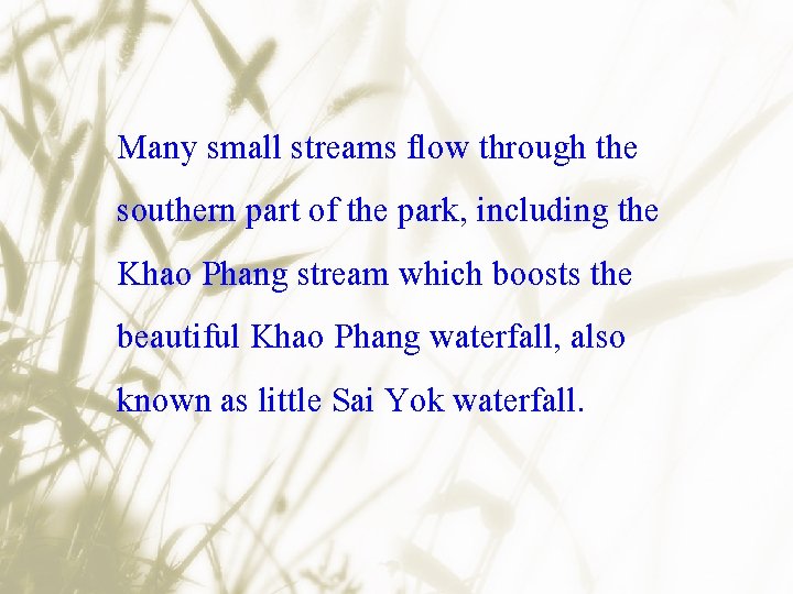 Many small streams flow through the southern part of the park, including the Khao