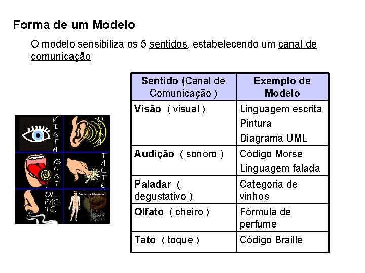 Forma de um Modelo O modelo sensibiliza os 5 sentidos, estabelecendo um canal de