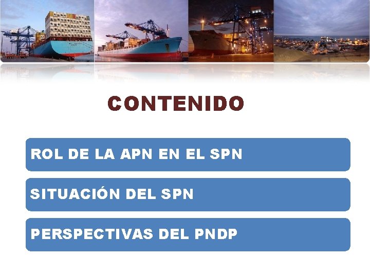 CONTENIDO ROL DE LA APN EN EL SPN SITUACIÓN DEL SPN PERSPECTIVAS DEL PNDP