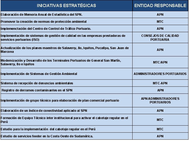 INICIATIVAS ESTRATÉGICAS ENTIDAD RESPONSABLE Elaboración de Memoria Anual de Estadística del SPN. APN Promover