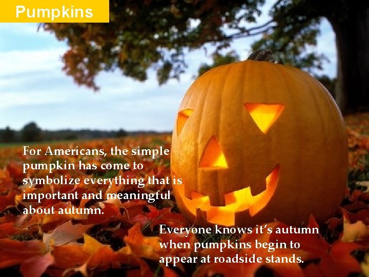 Pumpkins For Americans, the simple pumpkin has come to symbolize everything that is important Pumpkins For Americans, the simple pumpkin has come to symbolize everything that is important
