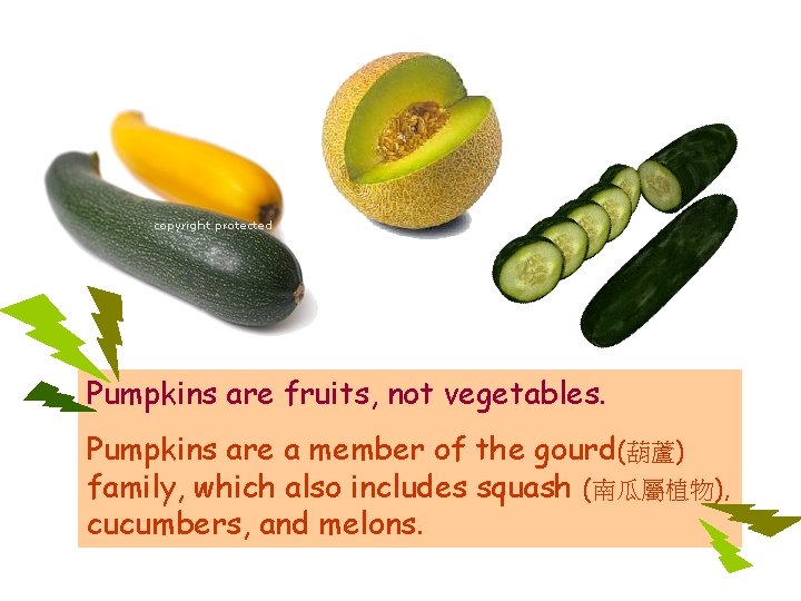 Pumpkins are fruits, not vegetables. Pumpkins are a member of the gourd(葫蘆) family, which Pumpkins are fruits, not vegetables. Pumpkins are a member of the gourd(葫蘆) family, which