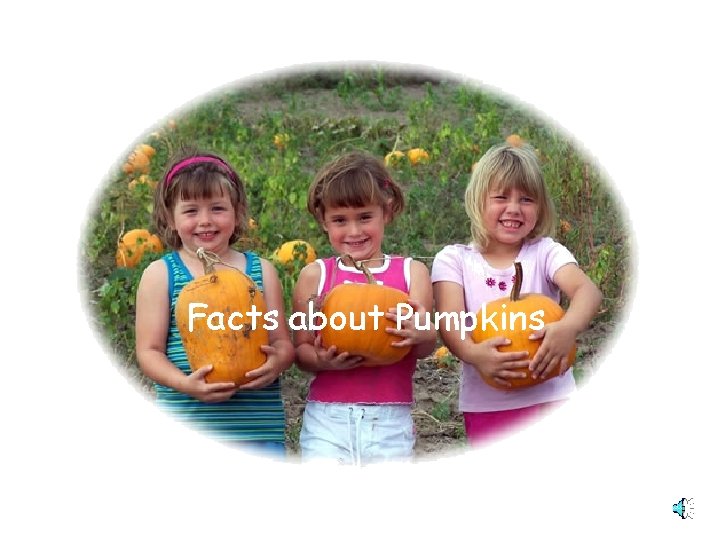 Facts about Pumpkins Facts about Pumpkins