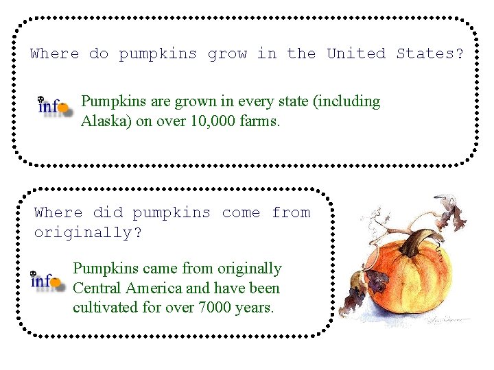 Where do pumpkins grow in the United States? Pumpkins are grown in every state Where do pumpkins grow in the United States? Pumpkins are grown in every state