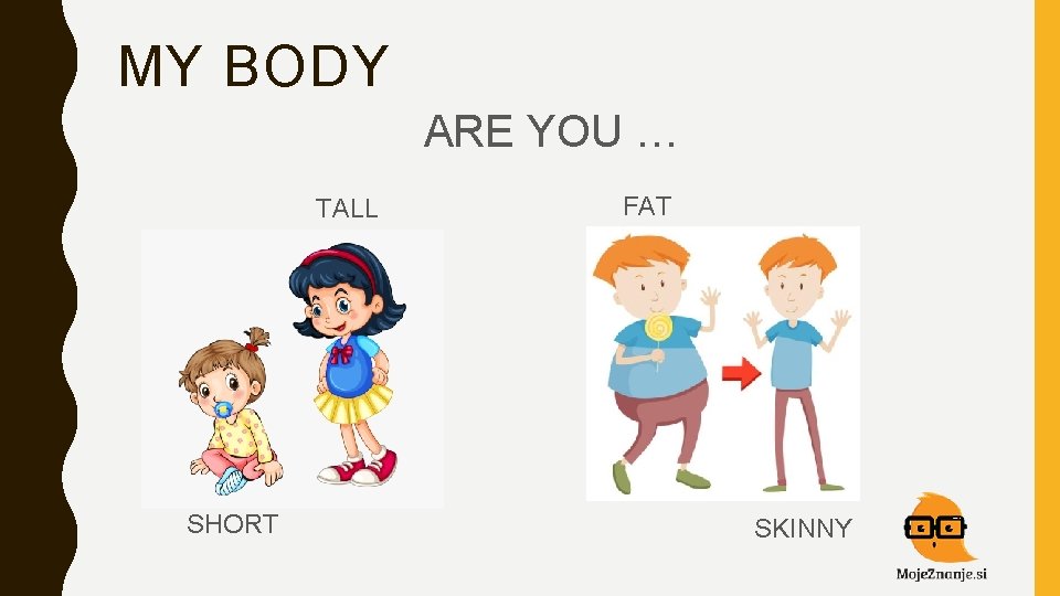 MY BODY ARE YOU … TALL SHORT FAT SKINNY 