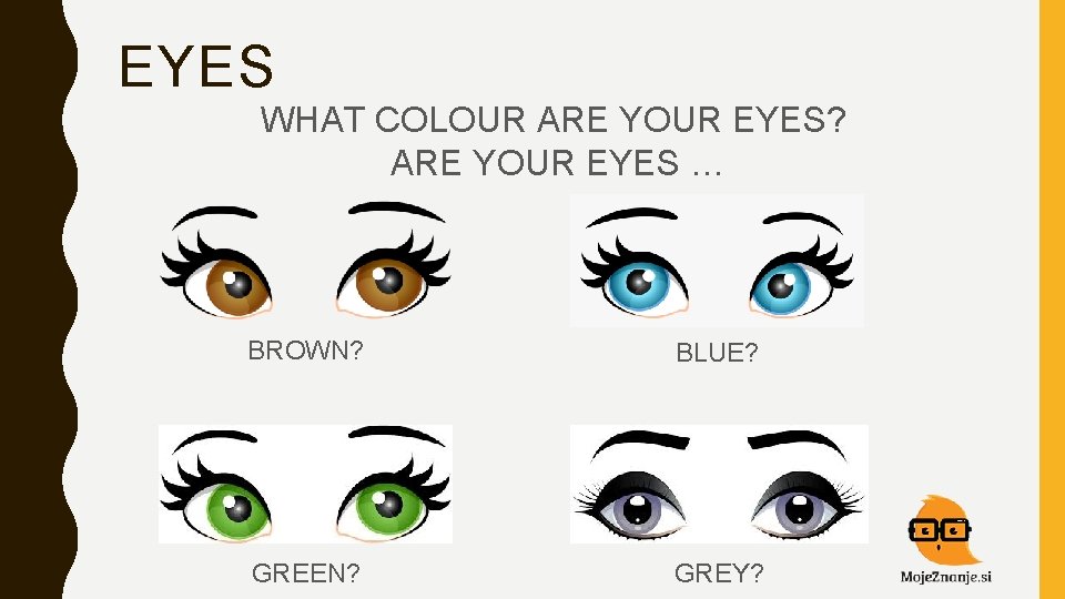 EYES WHAT COLOUR ARE YOUR EYES? ARE YOUR EYES … BROWN? BLUE? GREEN? GREY?