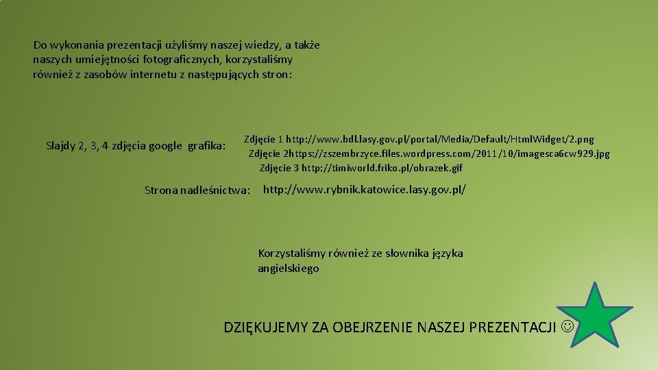 Do wykonania prezentacji użyliśmy naszej wiedzy, a także naszych umiejętności fotograficznych, korzystaliśmy również z Do wykonania prezentacji użyliśmy naszej wiedzy, a także naszych umiejętności fotograficznych, korzystaliśmy również z