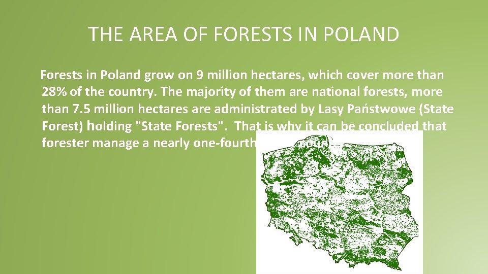 THE AREA OF FORESTS IN POLAND Forests in Poland grow on 9 million hectares, THE AREA OF FORESTS IN POLAND Forests in Poland grow on 9 million hectares,
