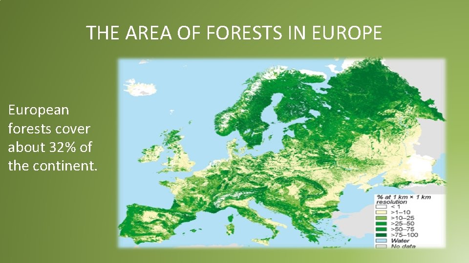 THE AREA OF FORESTS IN EUROPE European forests cover about 32% of the continent. THE AREA OF FORESTS IN EUROPE European forests cover about 32% of the continent.