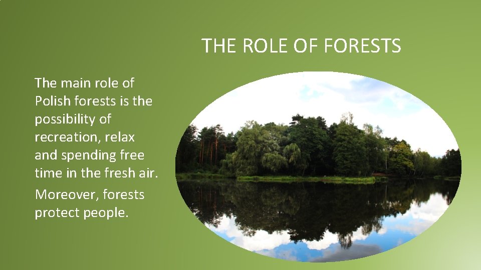 THE ROLE OF FORESTS The main role of Polish forests is the possibility of THE ROLE OF FORESTS The main role of Polish forests is the possibility of