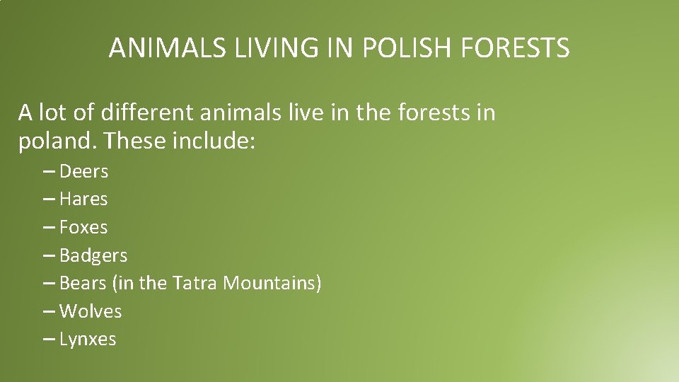 ANIMALS LIVING IN POLISH FORESTS A lot of different animals live in the forests ANIMALS LIVING IN POLISH FORESTS A lot of different animals live in the forests