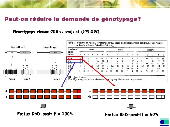 Peut-on réduire la demande de génotypage? Phénotypage rhésus CDE du conjoint (B 75: 25€) Peut-on réduire la demande de génotypage? Phénotypage rhésus CDE du conjoint (B 75: 25€)