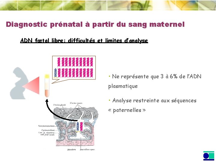 Diagnostic prénatal à partir du sang maternel ADN fœtal libre: difficultés et limites d’analyse Diagnostic prénatal à partir du sang maternel ADN fœtal libre: difficultés et limites d’analyse
