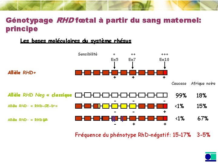Génotypage RHD fœtal à partir du sang maternel: principe Les bases moléculaires du système Génotypage RHD fœtal à partir du sang maternel: principe Les bases moléculaires du système