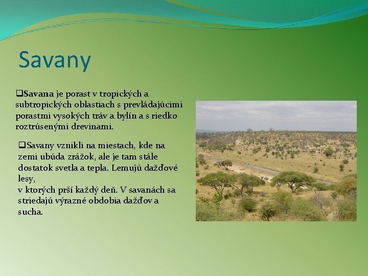 Savany q. Savana je porast v tropických a subtropických oblastiach s prevládajúcimi porastmi vysokých
