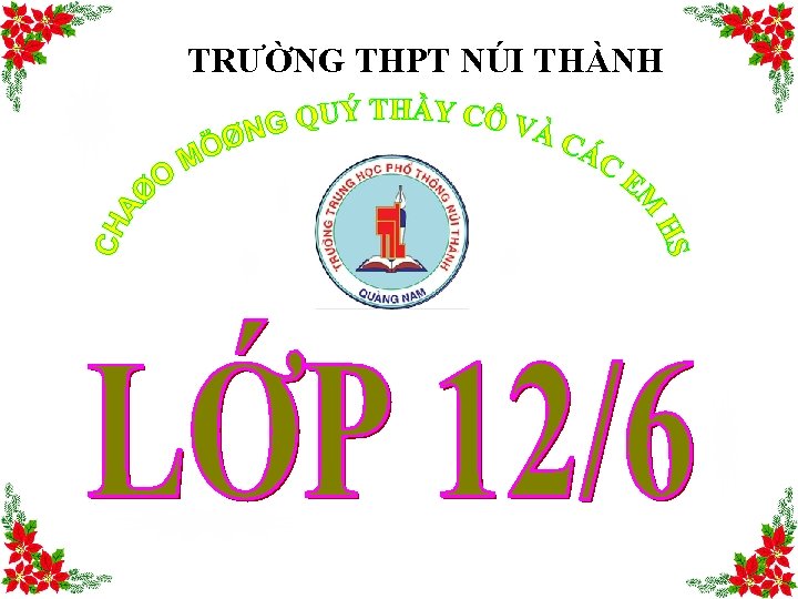 TRƯỜNG THPT NÚI THÀNH 