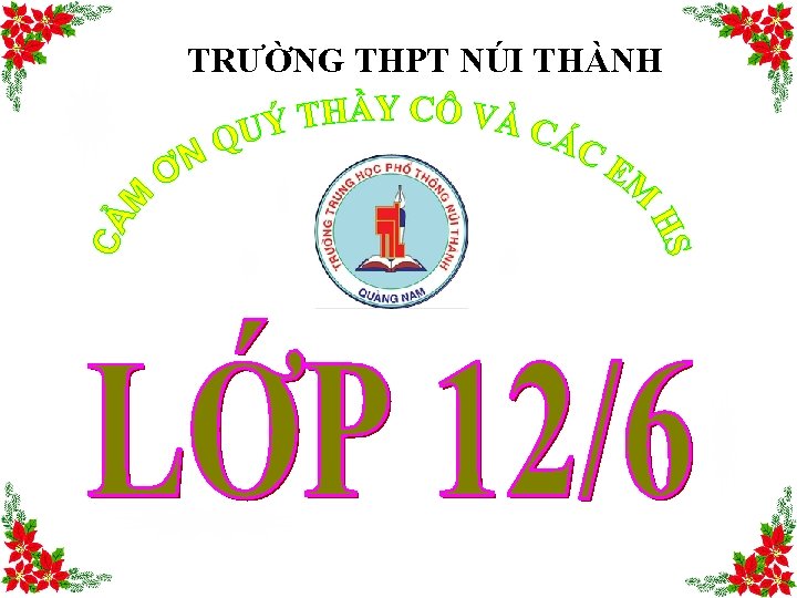 TRƯỜNG THPT NÚI THÀNH 