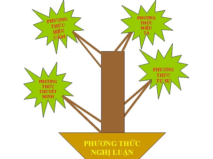 PHƯƠNG THỨC BIỂU CẢM PHƯƠNG THỨC MIÊU TẢ PHƯƠNG THỨC TỰ SỰ PHƯƠNG THỨC