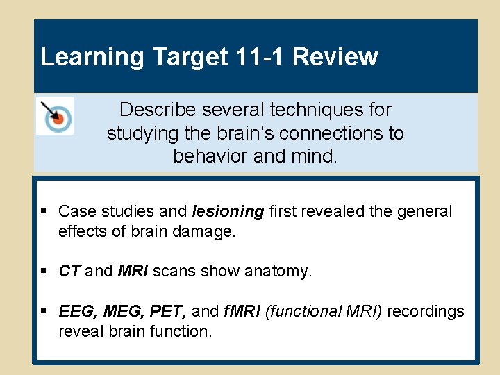 Learning Target 11 -1 Review Describe several techniques for studying the brain’s connections to